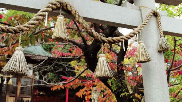Japanese Temple with autumn leaves