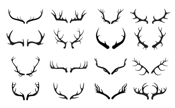 Deer antlers vector set. Hand drawn silhouettes of hunting trophies.Silhouette of the horns of a wild elk