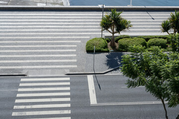 pedestrian crossing and decorated pavement of seafront, Funchal, Madeira