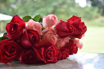 Lots of red roses were taken outside