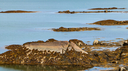 rocky coast of the sea