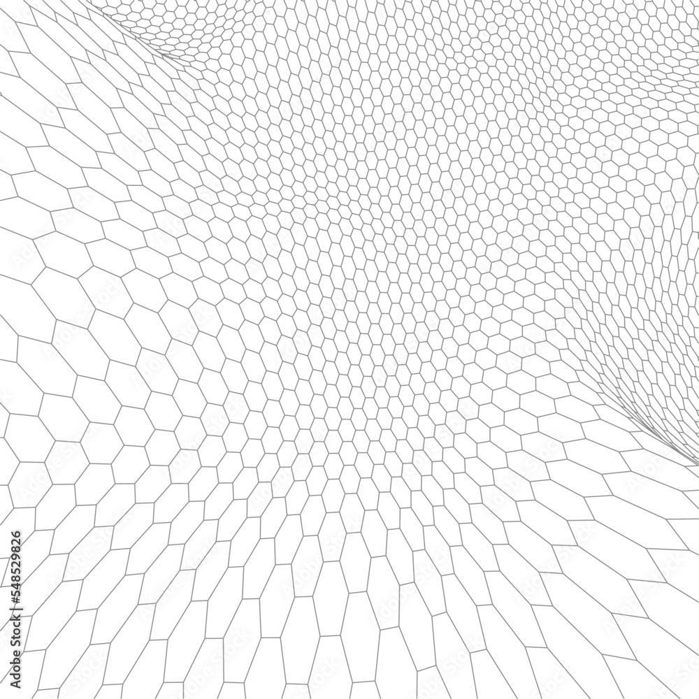 Poster abstract vector wireframe landscape background. cyberspace grid. 3d technology wireframe vector illu