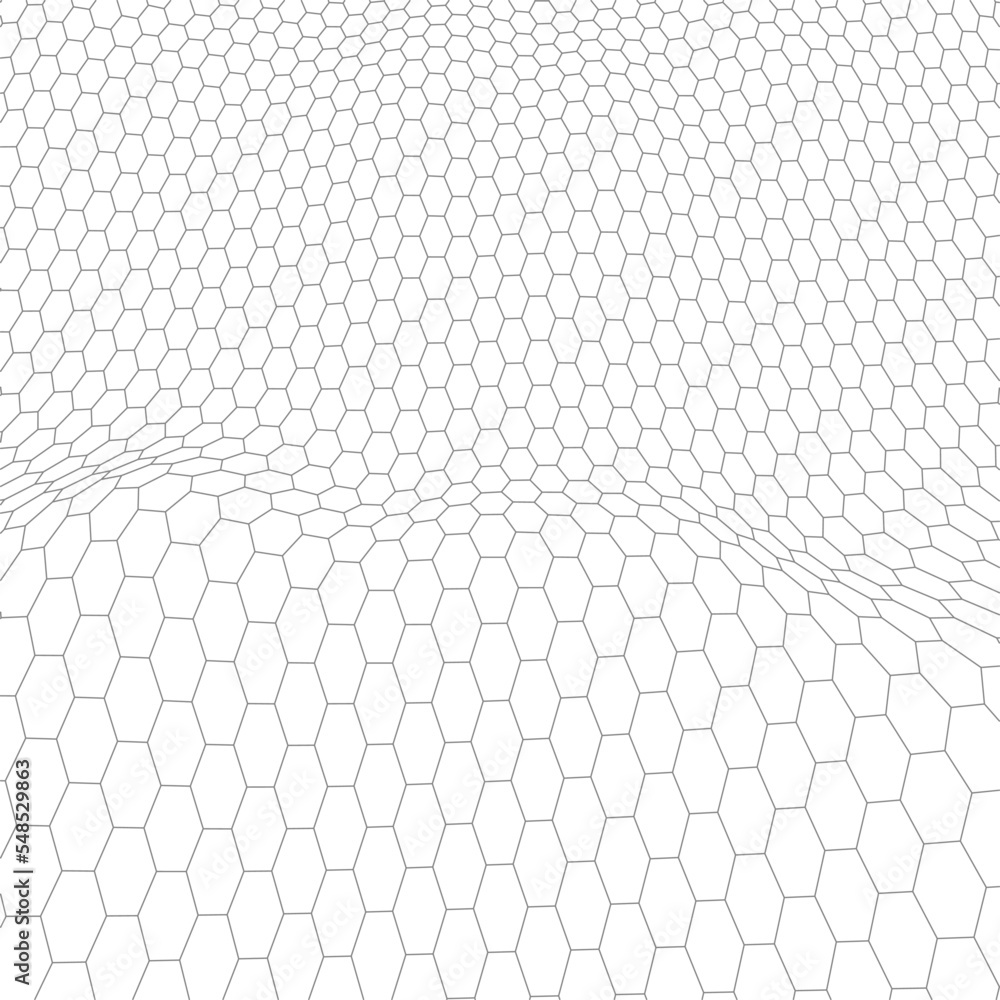 Poster abstract vector wireframe landscape background. cyberspace grid. 3d technology wireframe vector illu