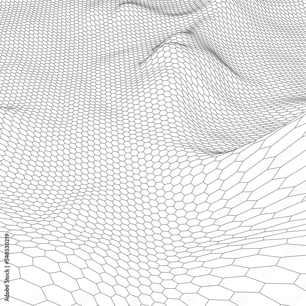 Poster abstract vector wireframe landscape background. cyberspace grid. 3d technology wireframe vector illu
