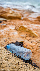 bottle beautiful mediterranean sea malta island sand stones sun cacti