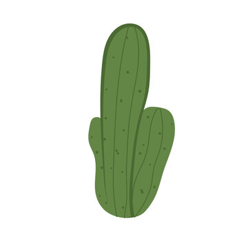 Isolated colored cactus sketch icon Vector illustration
