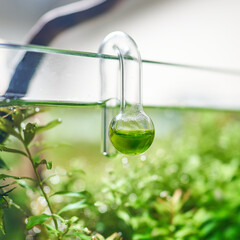 Glass hang-on CO2 aquarium drop checker for monitoring optimal carbon dioxide amount in planted...