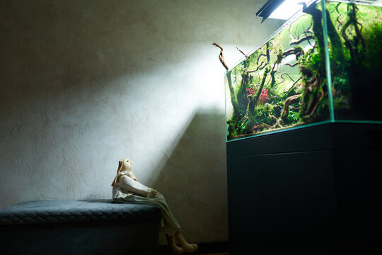 A toy rabbit sits on a pouf in a dark room and looks at the beautiful freshwater aquascape with live aquarium plants, Frodo stones, redmoor roots covered by java moss.