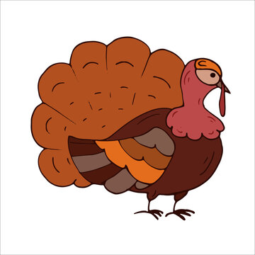 Turkey Isolated. Thanksgiving day. Vector Illustration