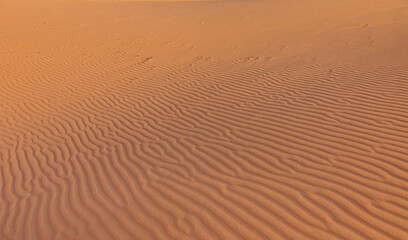 Beautiful sand dunes in the Sahara desert - Sahara, Morocco