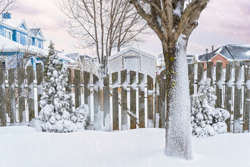 Garden gate covered in snow after the last storm.