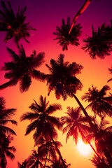 Fototapeta na wymiar Colorful tropical sunset with coconut palm trees silhouettes and shining sun