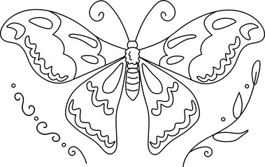 Beautiful Butterfly in doodle style on a white background. Vector illustration isolated for decoration, postcards