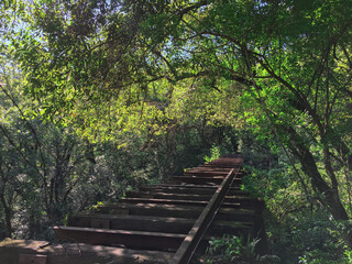 vias