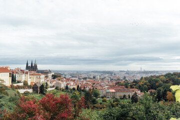 Fototapeta na wymiar View of Prague castle and orange roofs from a hill colored with red foliage