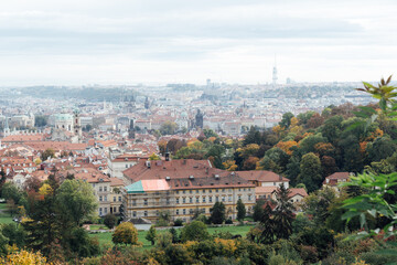 Fototapeta na wymiar View of Prague Castle from the hill and the orange roof in harmony with nature