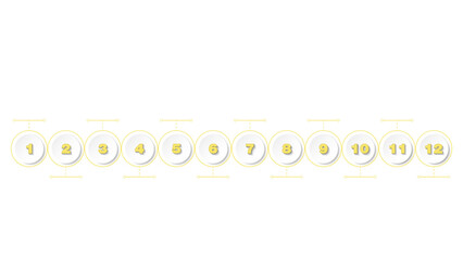 Time line infographic with month, 12 process or options.