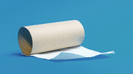 last piece of toilet paper