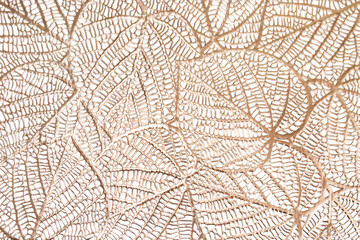 gold texture white background