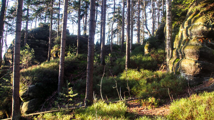 Fototapete bei efototapeten.de bestellen   