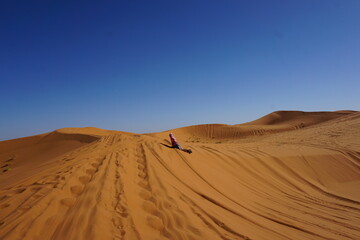 Fototapeta na wymiar l'immensité du désert