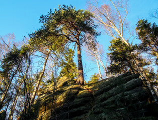 Fototapete bei efototapeten.de bestellen   