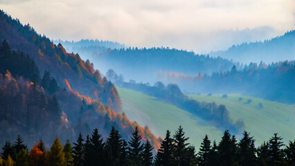 Polskie wzgórza i góry otoczone mgłą - obrazy, fototapety, plakaty