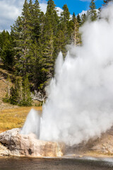 Geyser near Old Faithul Geyser at Yellowstone national Park.