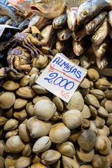Seafood at the Central Market (Mercado Central) in Santiago de Chile