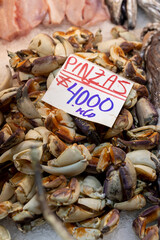 Seafood at the Central Market (Mercado Central) in Santiago de Chile