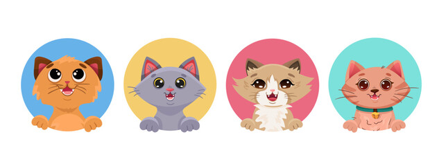Cat face portrait set of different breeds. Funny kitten kawaii avatars for social media profile, baby printing, children birthday design. Vector cartoon illustration