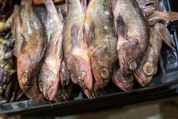 Fresh fish at the Central Market (Mercado Central) in Santiago de Chile