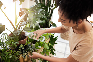 Gardening, black woman and water plants at home for agriculture sustainability, eco friendly...