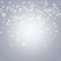 Gray Snowflake Vector Gray Background. Xmas