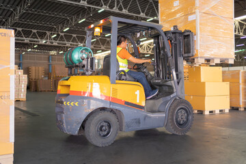 Fototapeta na wymiar Asian worker driving Fork lift truck with pallet car vehicle in warehouse retail store industry. Rack of stock storage. Cargo in ecommerce and logistic. Depot. People lifestyle. Shipment service