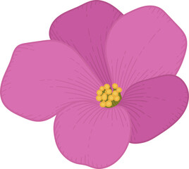 Hand drawn pink flower