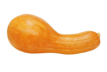 Ripe Yellow Pumpkin taken closeup isolated on transparent.