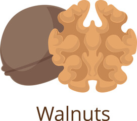 Walnut icon. Healthy organic nut cartoon symbol