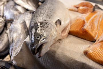 Fresh fish at the Central Market (Mercado Central) in Santiago de Chile