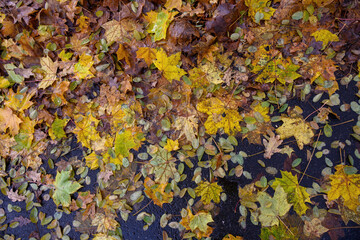 Herbst Stadt Marburg Natur