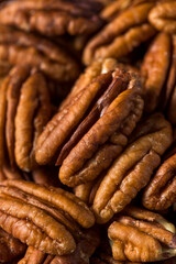 Raw Organic Brown Pecans