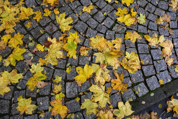 Herbst Stadt Marburg Natur