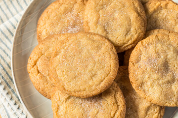 Homemade Organic Snickerdoodle Cookies