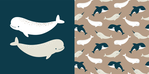 Cute vector collection with beluga. Seamless pattern and animal illustration © Baranovska