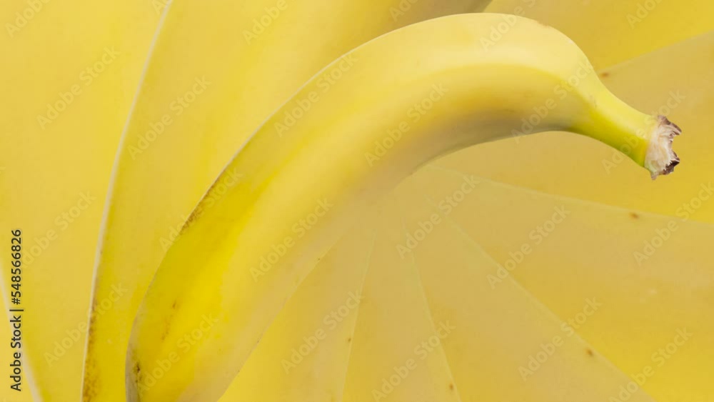 Poster seamless loop zooming bananas background. exotic fruit in seamless loop animation. endless food moti
