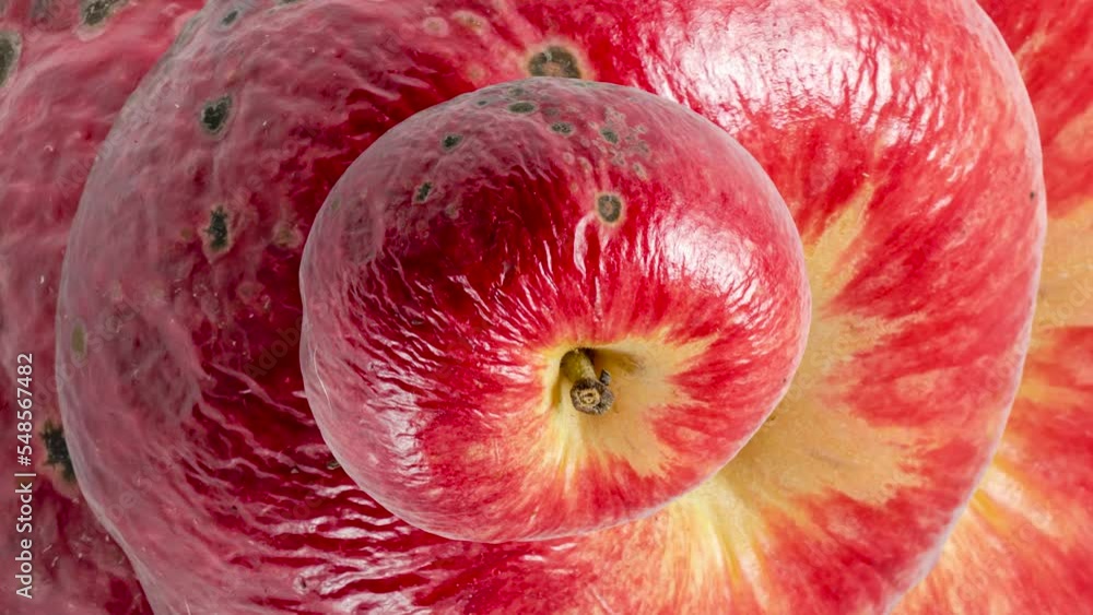 Poster rotting old red apple seamless loop zooming. abstract background with ugly fruit. aged food concept 