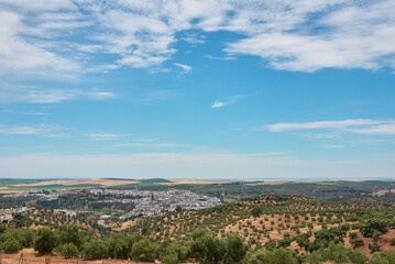 typical andalusian village with white painted houses