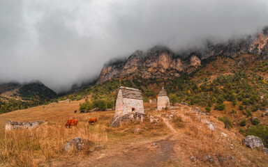 Majestic ancient tower buildings of Kelly and old family crypts in the Assinesky Gorge of mountainous Ingushetia, one of the medieval castle-type tower villages, located on the mountain range, Russia