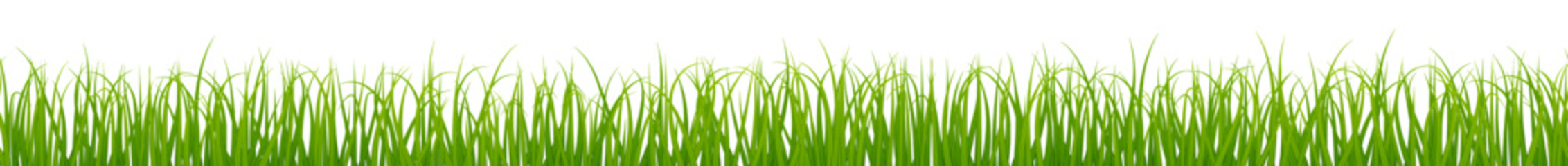 Green grass border. Horizontal realistic plant pattern