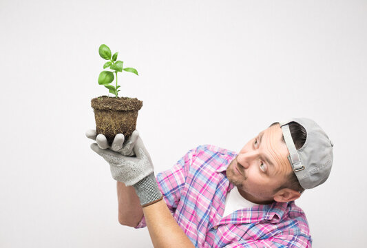 Side view of male gardener holding plant in soil. Plant care concept, isolated on white background. Male farmer